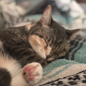 Meet your Posher, Kc